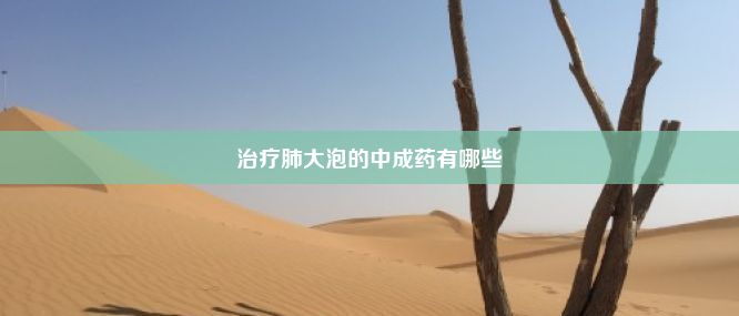 治疗肺大泡的中成药有哪些