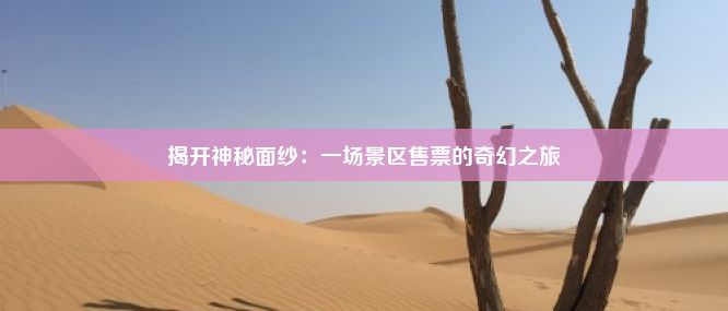 揭开神秘面纱：一场景区售票的奇幻之旅