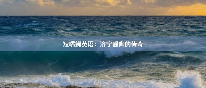 短嘴鳄英语：济宁醒狮的传奇