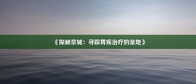 《探秘京城：寻踪胃疾治疗的圣地》