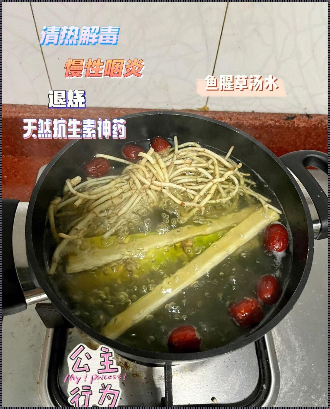 《低烧之际，鱼腥草的抉择：一种生命的诗篇》