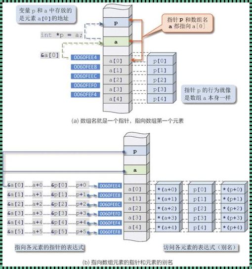 数组指针的魔法：malloc与自由存储