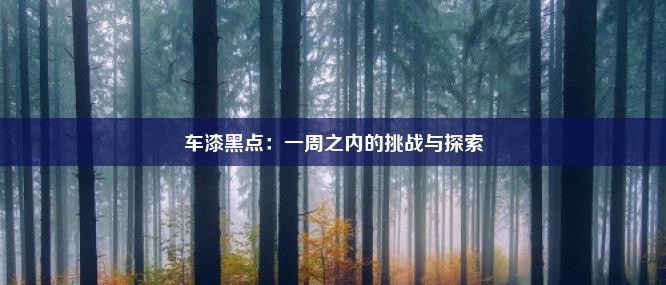 车漆黑点：一周之内的挑战与探索