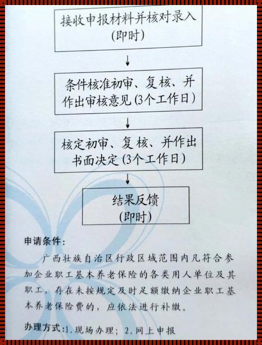 社保补缴，织就人民生活的安全网