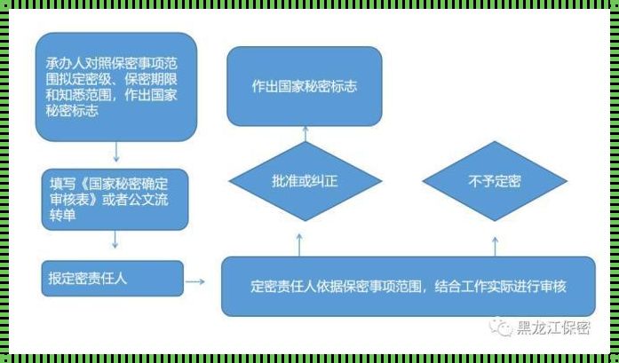 《密语无声：情报世界的静默舞蹈》