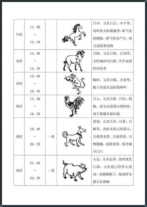 《二五代表的数与生肖：探索数字与生物的象征意义》