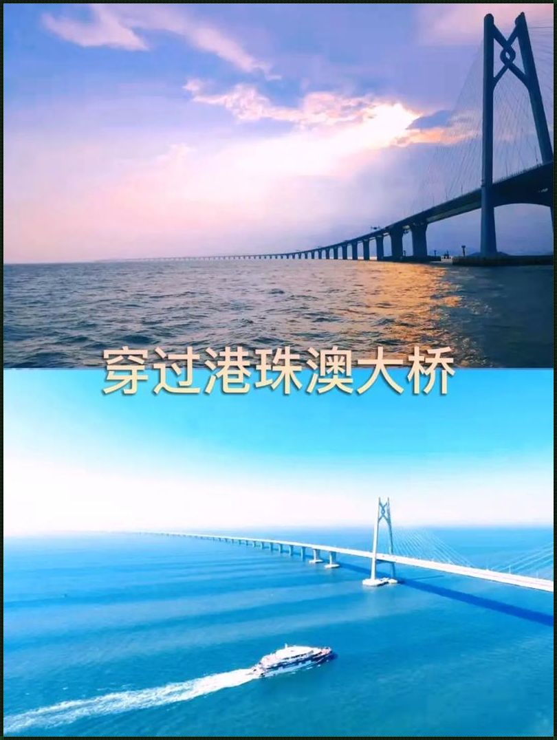 《大湾区1号：乘风破浪的梦想巨轮》