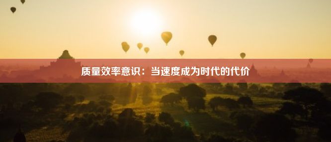 质量效率意识：当速度成为时代的代价