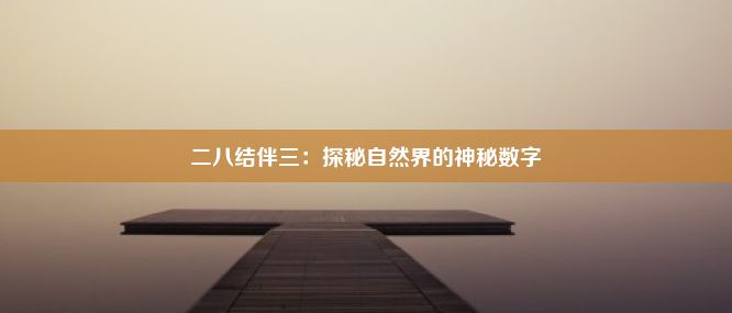 二八结伴三：探秘自然界的神秘数字