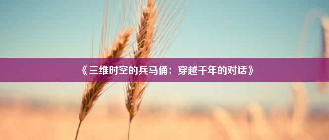 《三维时空的兵马俑：穿越千年的对话》