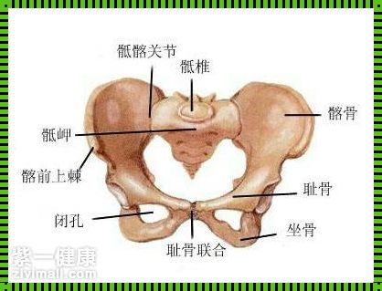 女性胯骨疼痛的深层探究：身体与心灵的对话