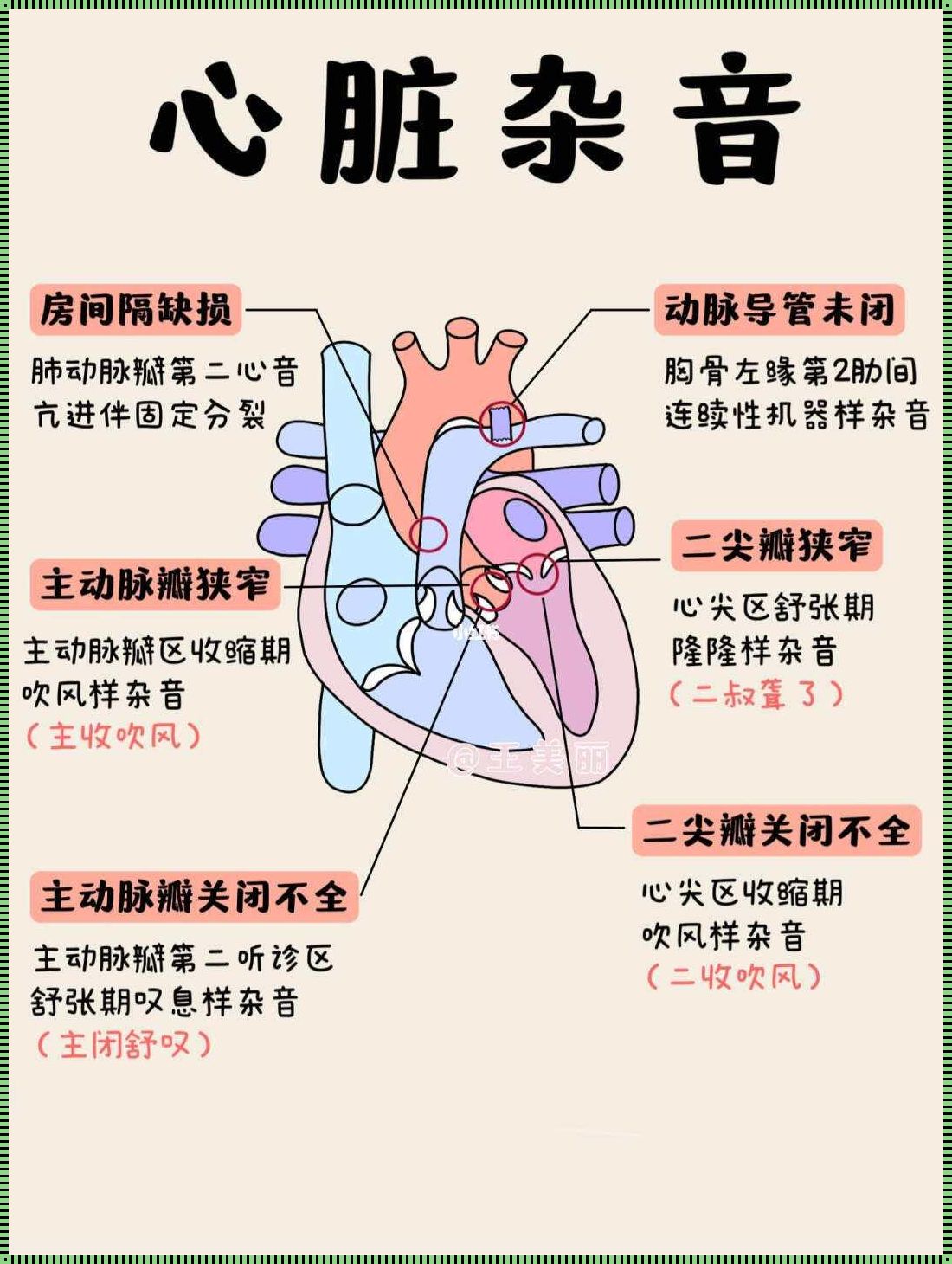 心脏的轻语：轻微杂音背后的故事