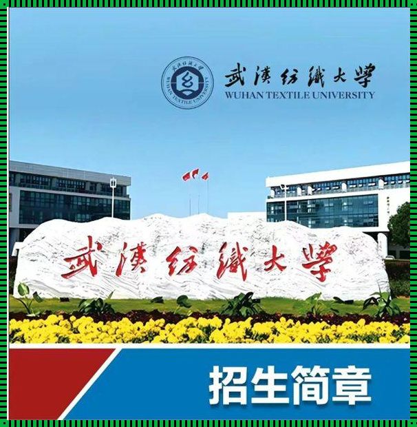 武汉纺织大学校园网认证：织就智慧的纽带