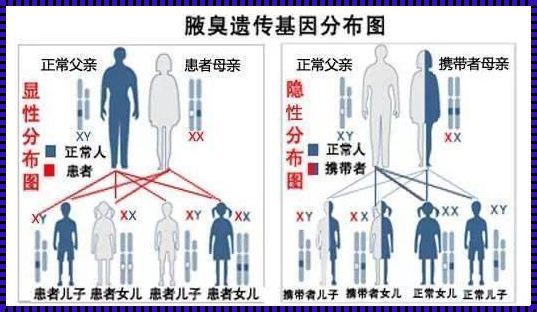 有狐臭就是胡人的后代：历史与文化的交融与误解