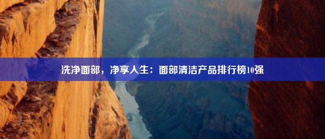 洗净面部，净享人生：面部清洁产品排行榜10强