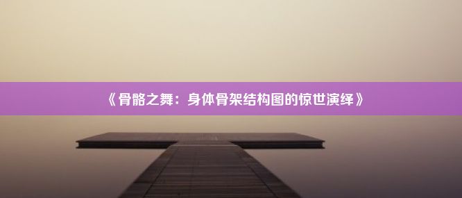 《骨骼之舞：身体骨架结构图的惊世演绎》