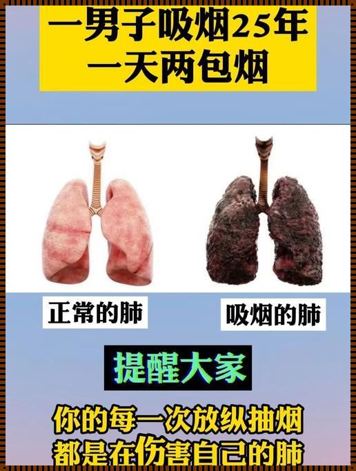 《吸烟过肺正确方法：探秘肺部健康的艺术》