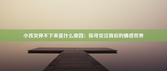 小孩哭停不下来是什么原因：探寻哭泣背后的情感世界