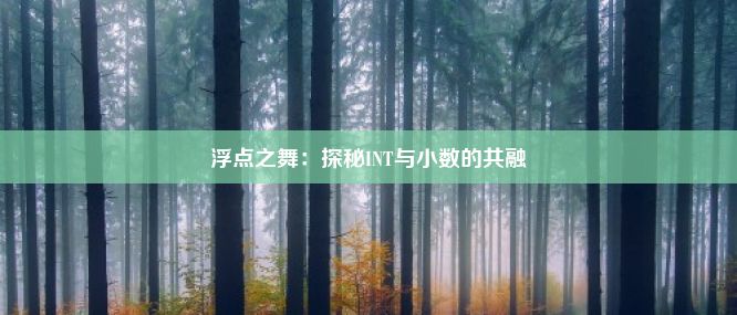 浮点之舞：探秘INT与小数的共融