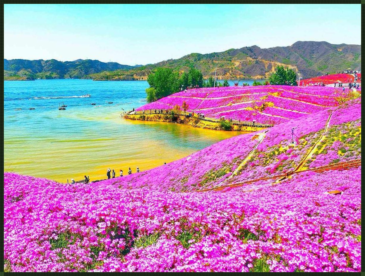 《探秘迁西雨花谷：九月花语，岁月静好》