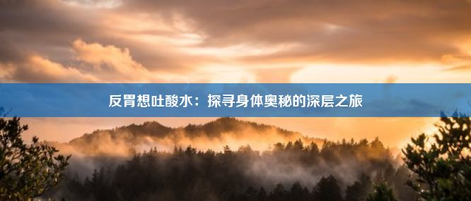 反胃想吐酸水：探寻身体奥秘的深层之旅