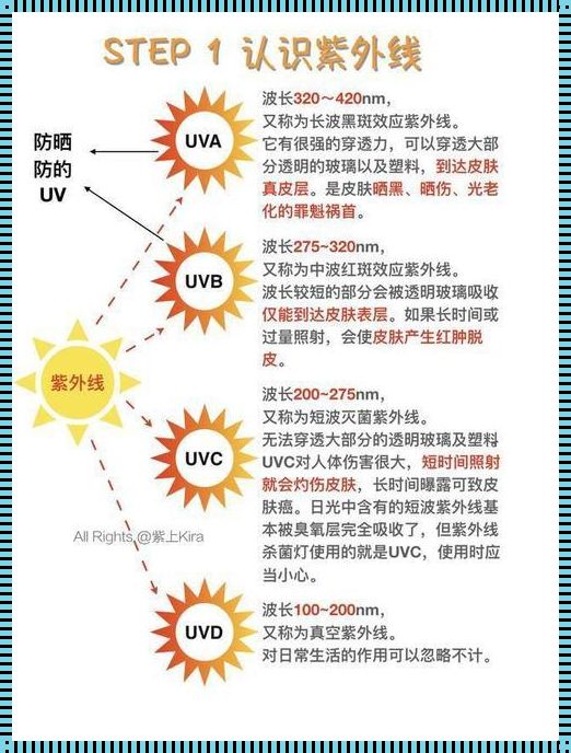 防晒的奥秘：探索肌肤保护的多种维度