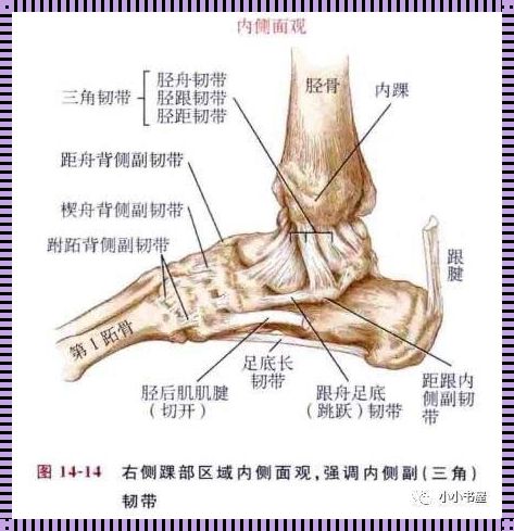 足三角的奥秘：人体力学与精神的和谐共鸣