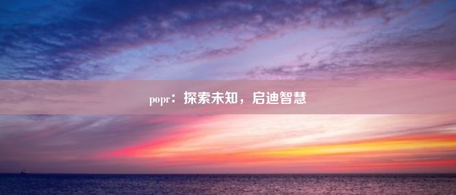 popr：探索未知，启迪智慧