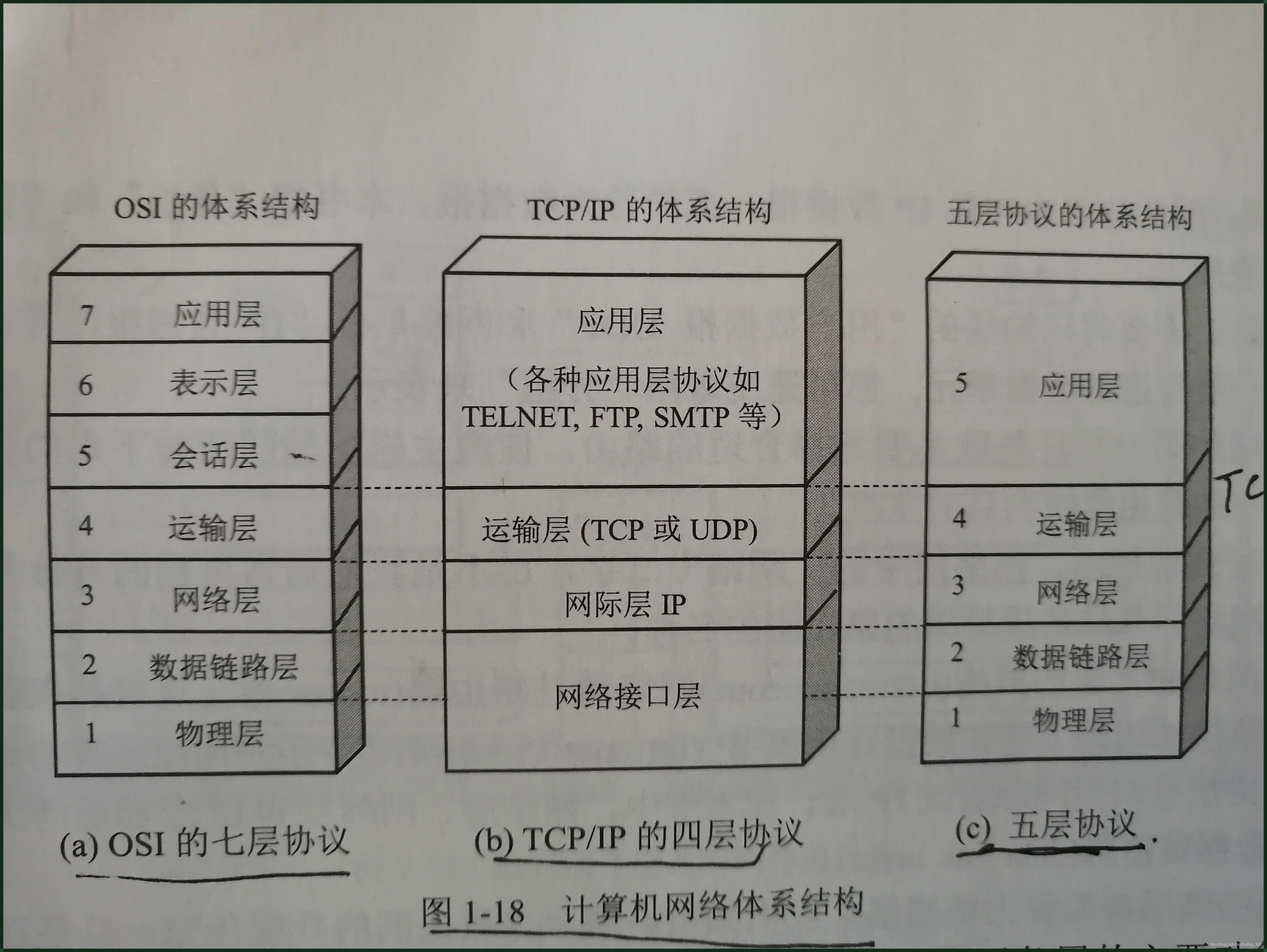 七层协议与四层协议：网络世界的诗与远方