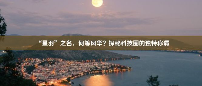 “星羽”之名，何等风华？探秘科技圈的独特称谓