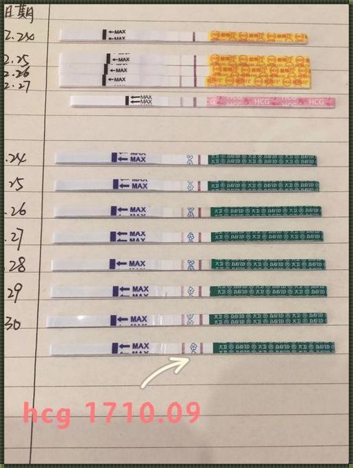 探秘hcg1222：孕期的奇妙地域之旅