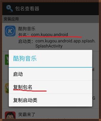 探索科技之域：包名com的奥秘之旅