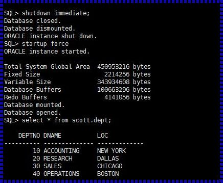 惊现科技奇迹：强制重启Oracle数据库的奥秘