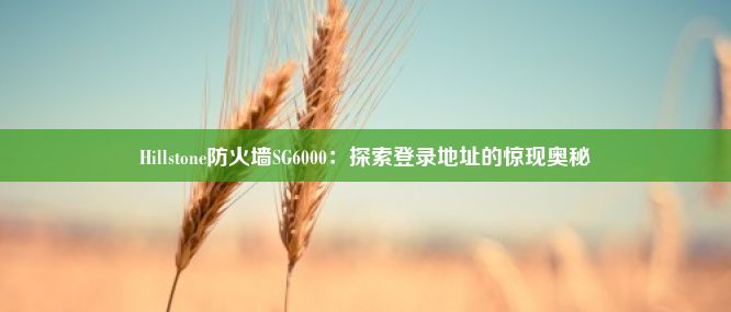 Hillstone防火墙SG6000：探索登录地址的惊现奥秘