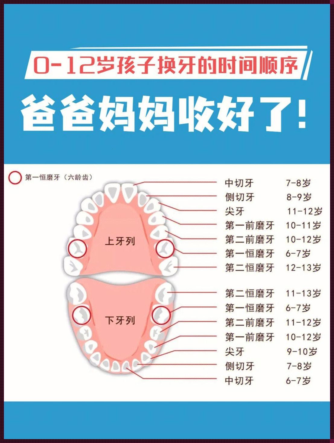 探索儿童换牙结束的神秘面纱：健康成长的黄金法则